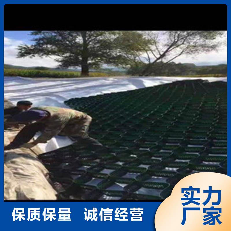 蜂巢格室蜂格网诚信经营