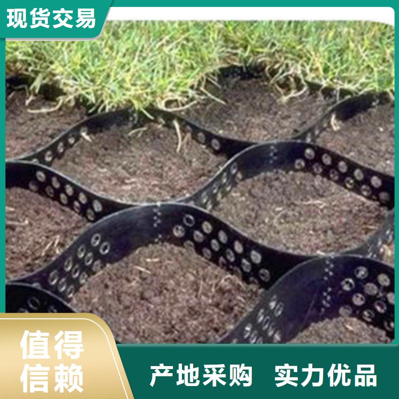 蜂巢格室玻纤格栅打造行业品质