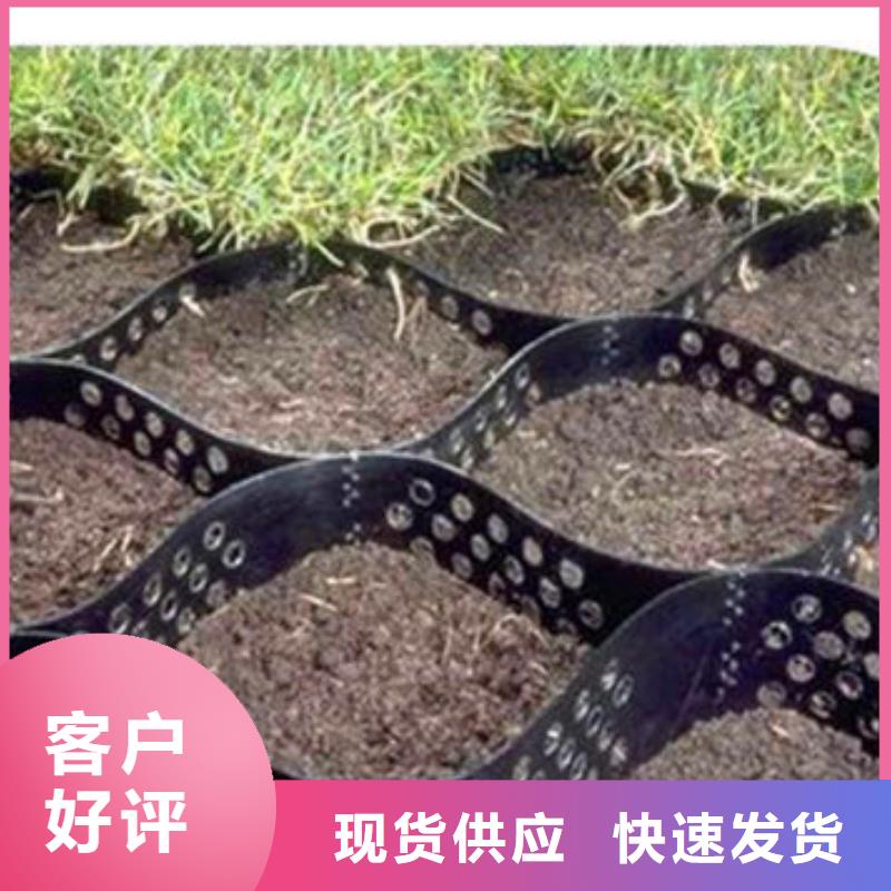 蜂巢格室蜂格网诚信经营