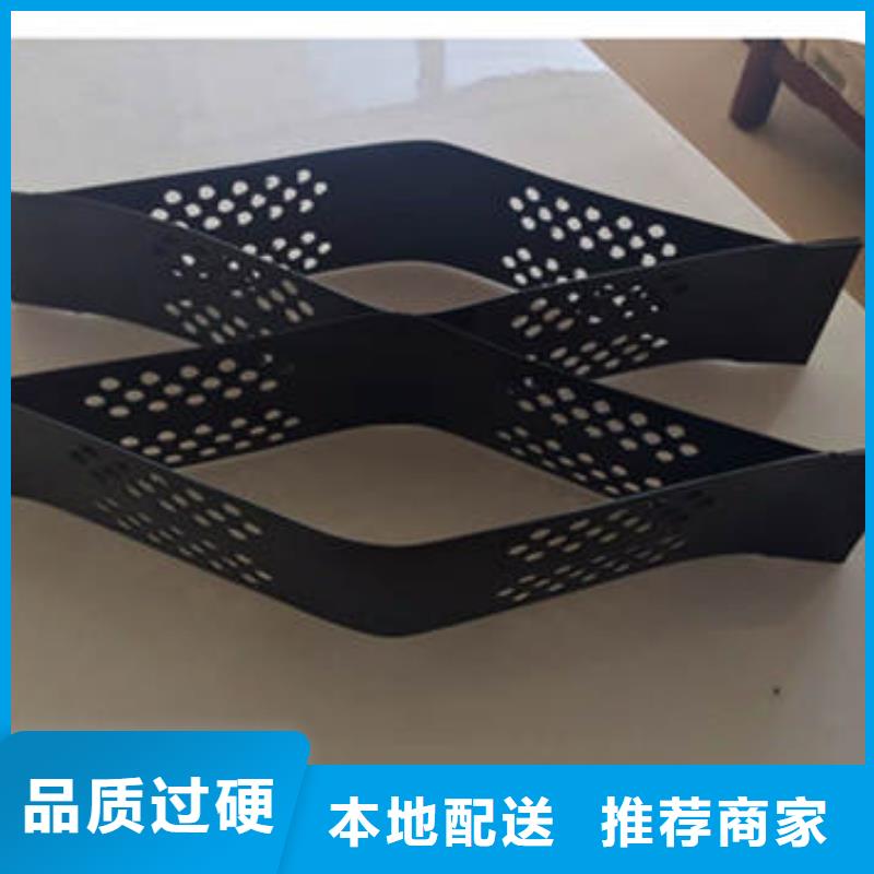 蜂巢格室-土工网同行低价