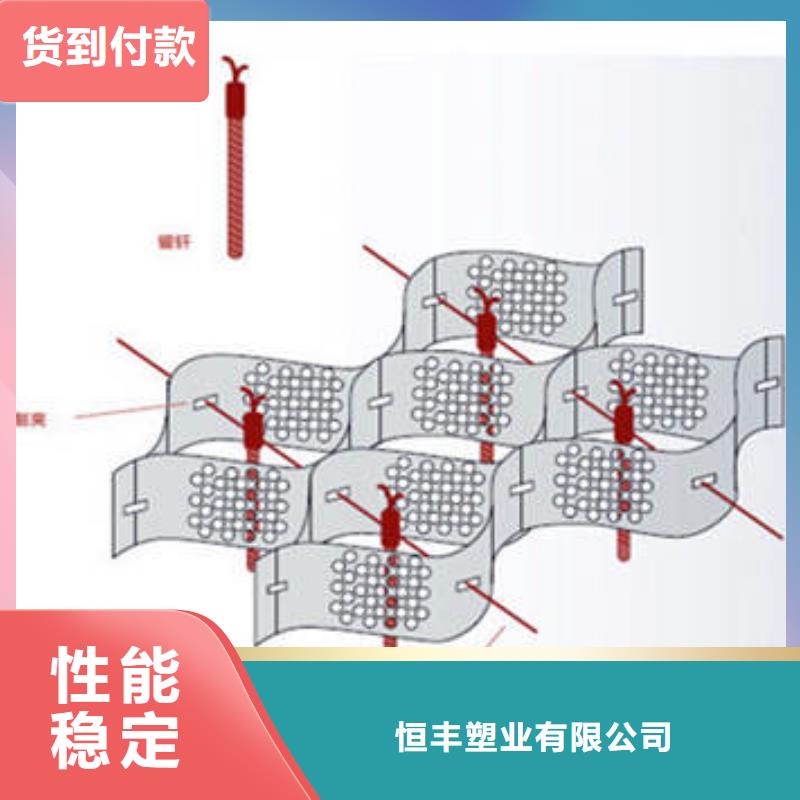 蜂巢格室土工格室专注细节使用放心