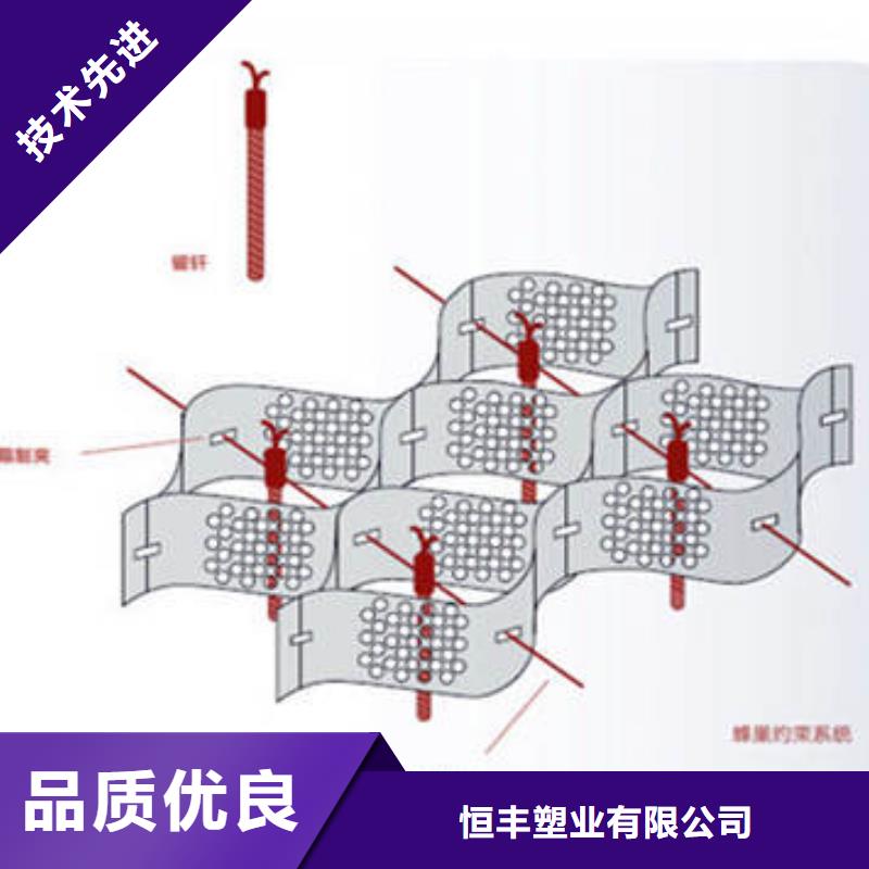 蜂巢格室 车库顶板排水板规格型号全