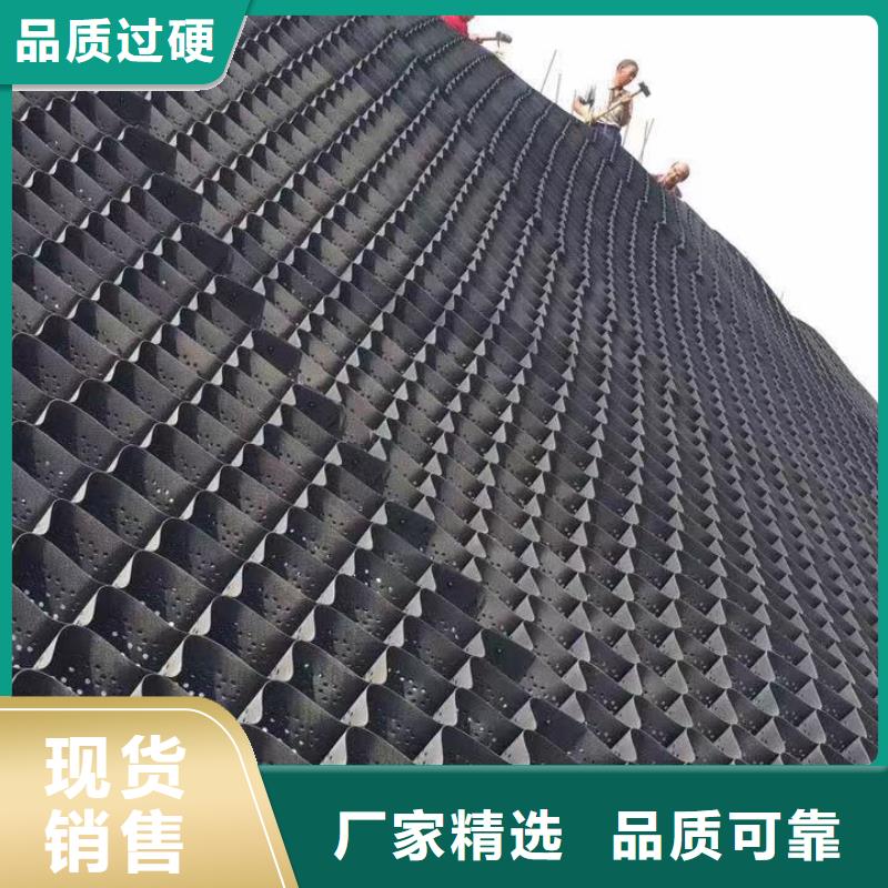 蜂巢格室生态带采购