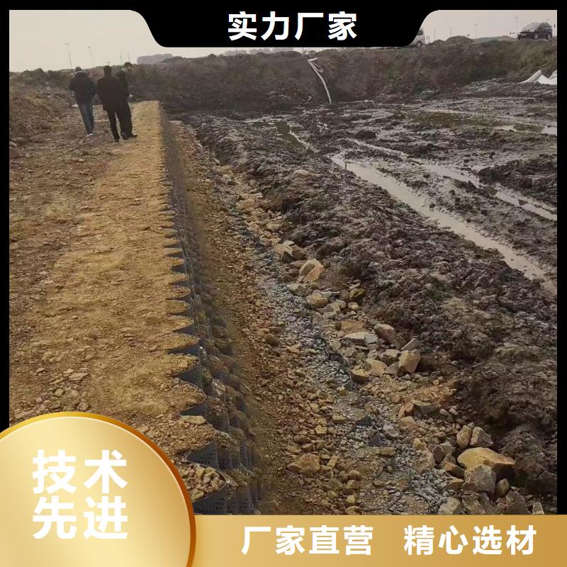 【蜂巢格室玻纤格栅质优价廉】