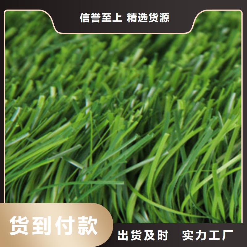 精工细致打造【人造草坪】-看台座椅实力优品