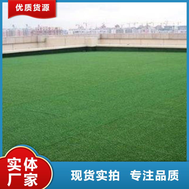 人造草坪质量好