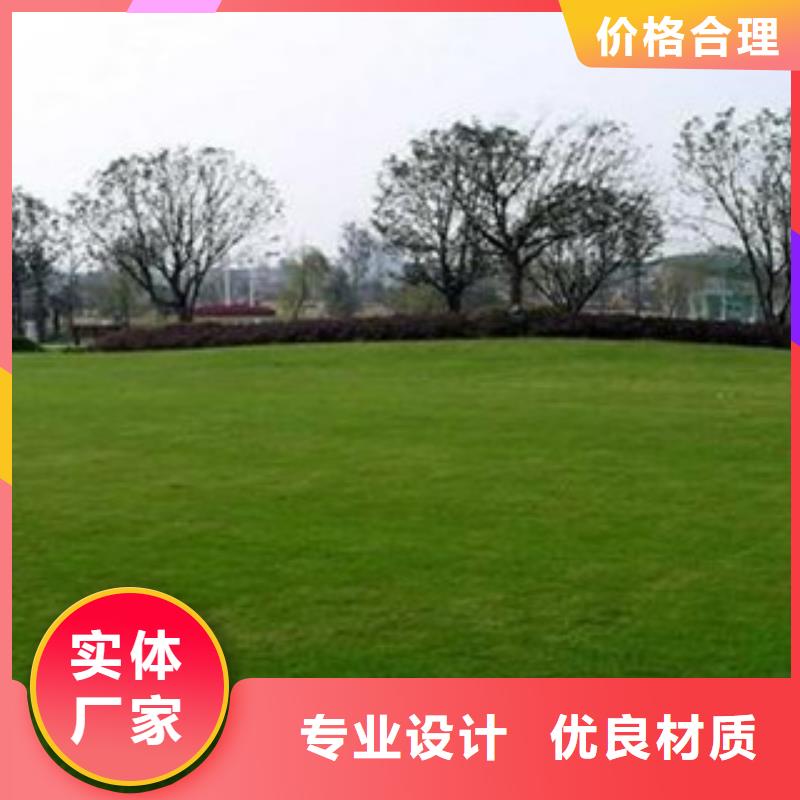 人造草坪,硅pu球场每个细节都严格把关