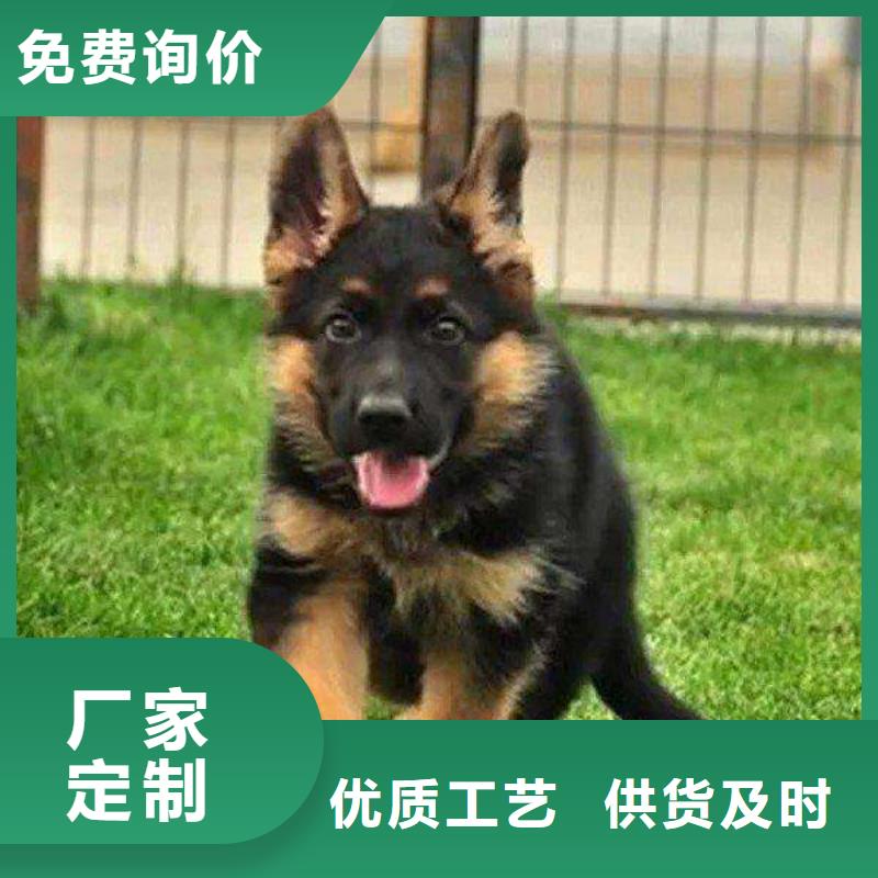 德国牧羊犬_罗威纳犬一站式采购