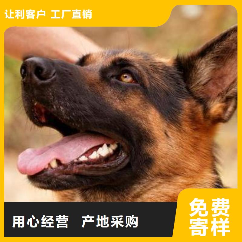 【德国牧羊犬】,罗威纳犬大品牌值得信赖