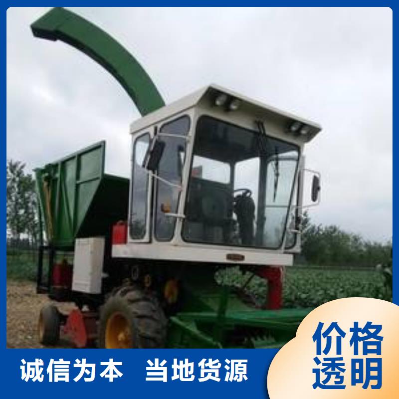 青储机_拉布拉多犬价格低