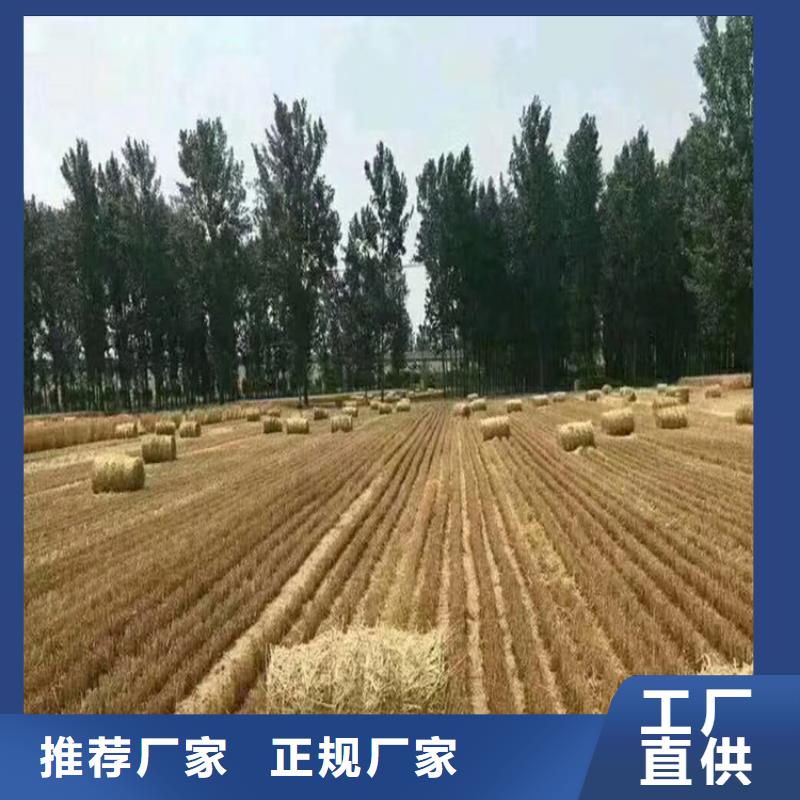 打捆机德牧犬设备齐全支持定制