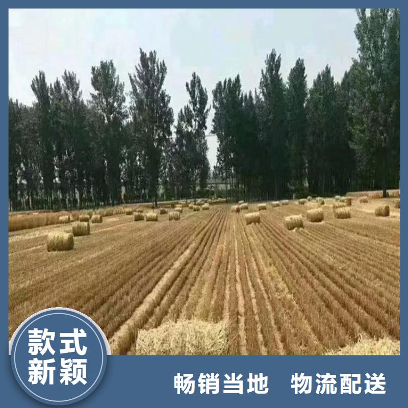 打捆机卡斯罗犬大量现货供应