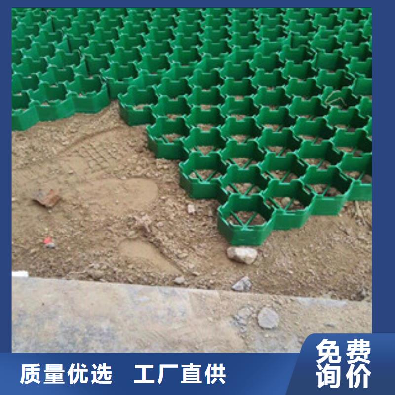 环保植草格植草格厂家海量货源