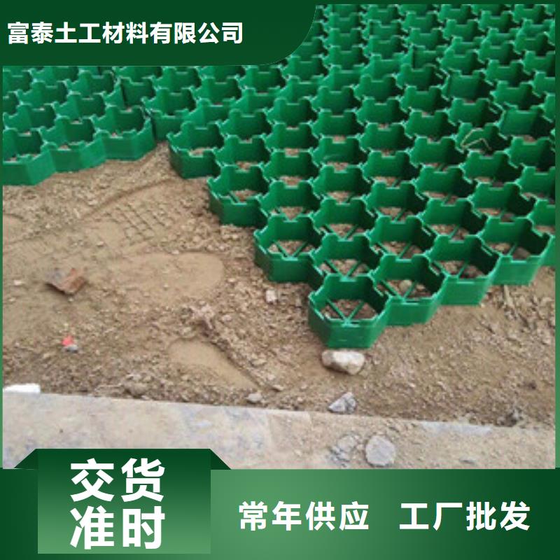 环保植草格膨润土防水毯厂家长期供应