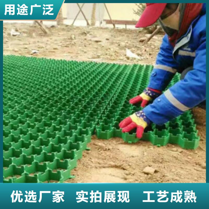 环保植草格【蓄排水板厂家】用心做好每一件产品