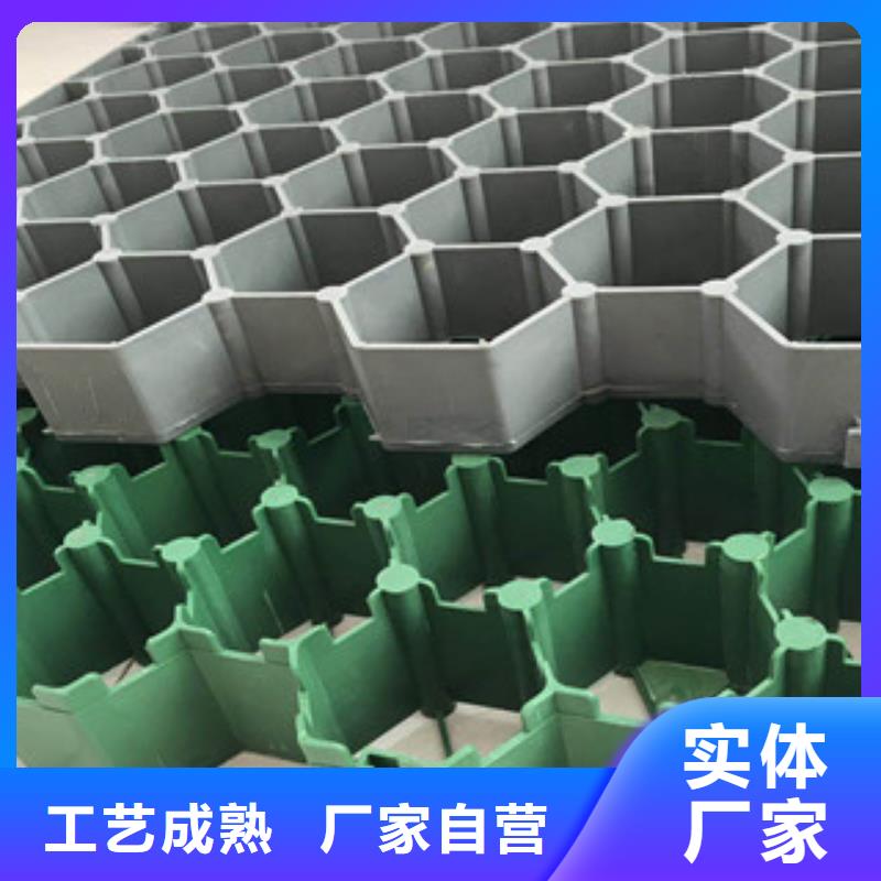 【 环保植草格_土工布厂家可定制有保障】-富泰土工材料(潮州市分公司)