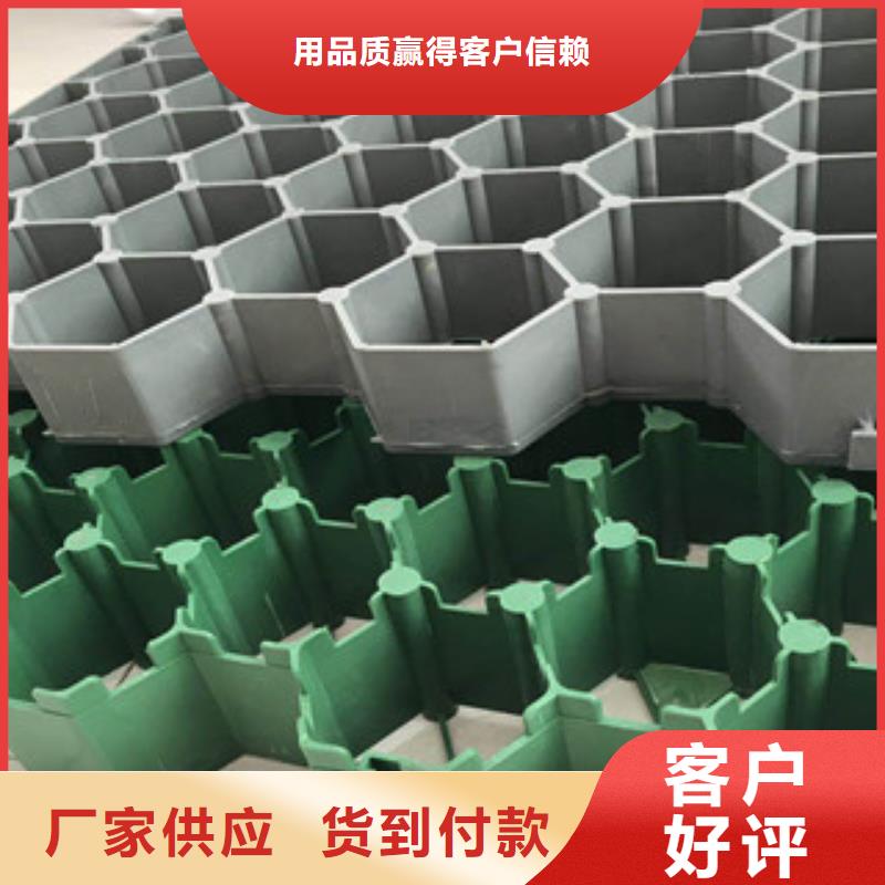 环保植草格蓄排水板厂家厂家货源稳定