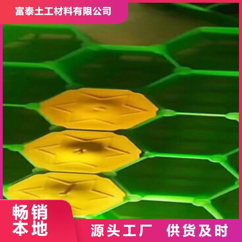 环保植草格蓄排水板厂家厂家货源稳定