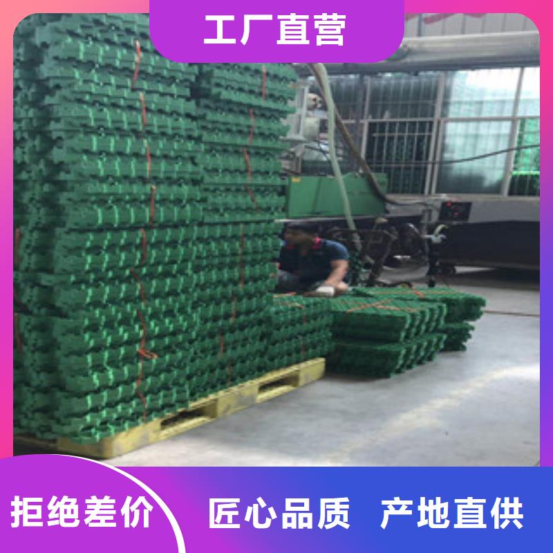【 环保植草格_土工布厂家可定制有保障】-富泰土工材料(潮州市分公司)