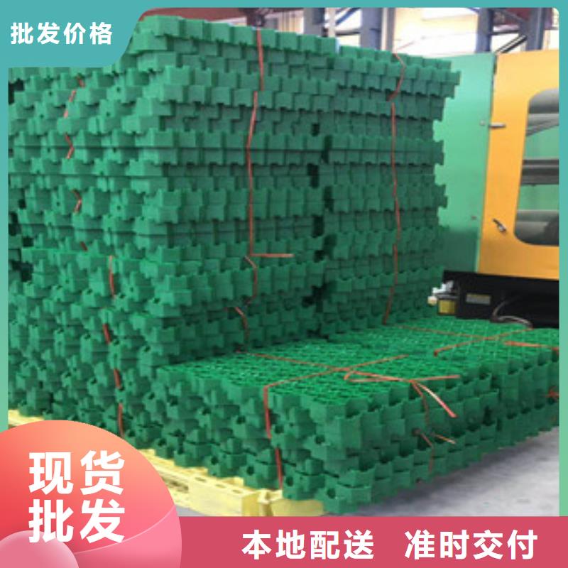 环保植草格-蓄排水板厂家质保一年