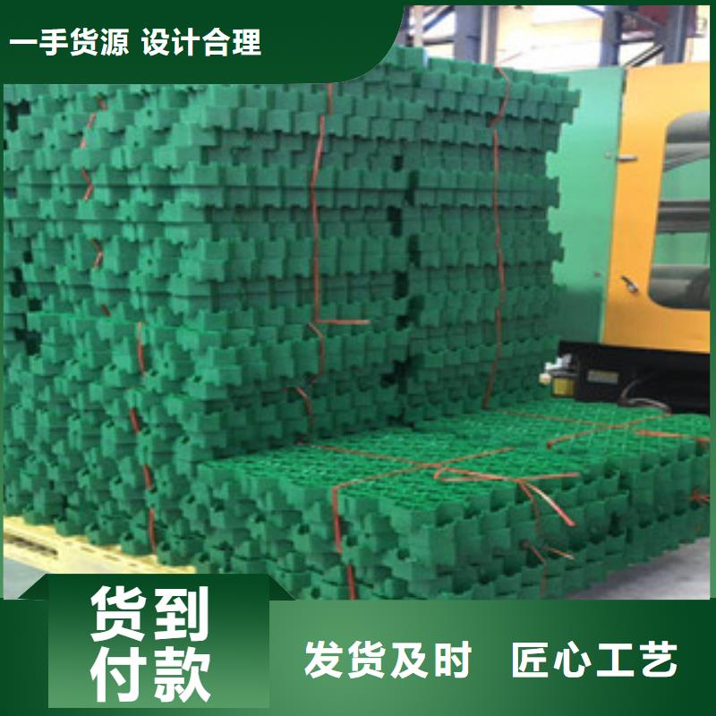 环保植草格【蓄排水板厂家】用心做好每一件产品