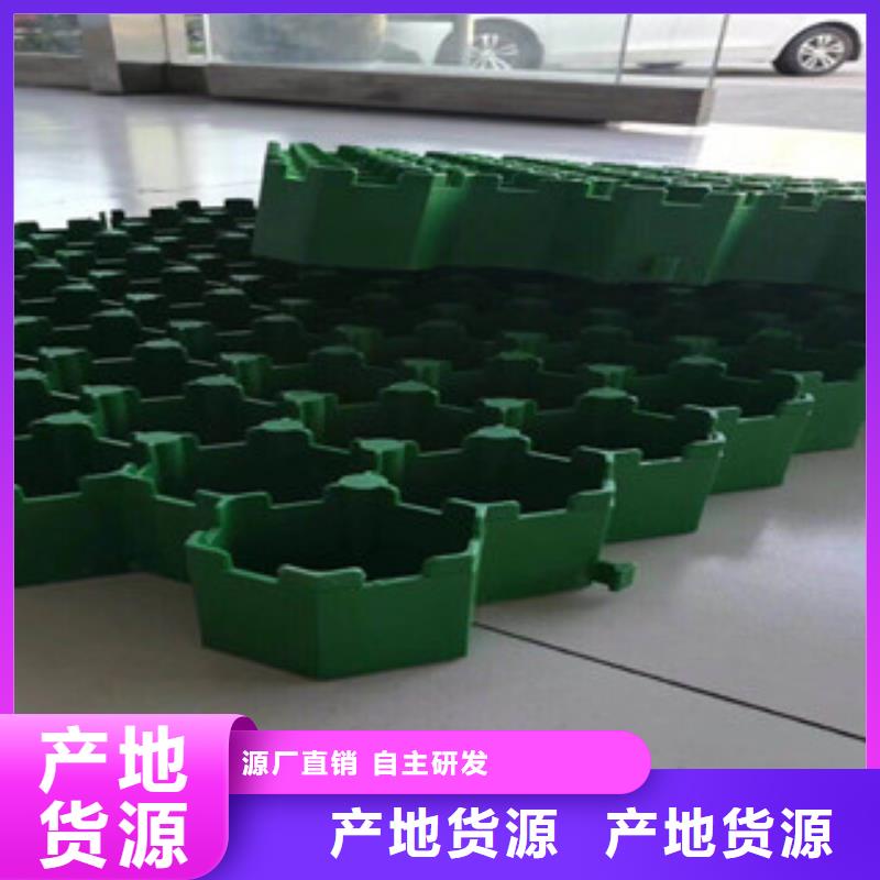 环保植草格-无纺布厂家热销产品