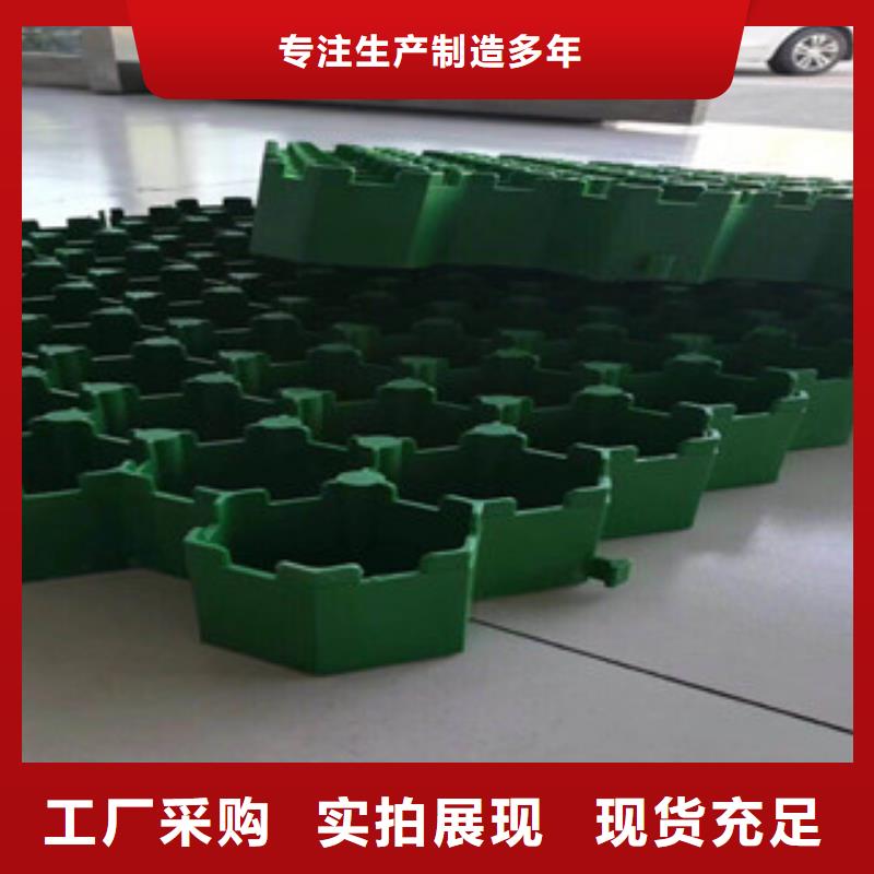 【环保植草格】_膨润土防水毯厂家打造行业品质同城货源