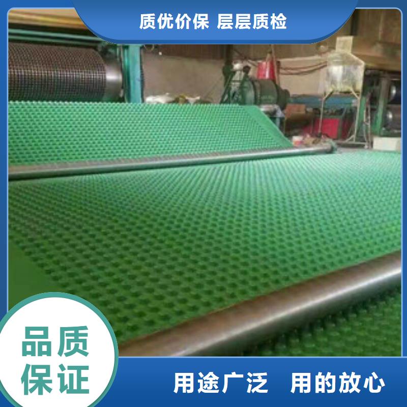 塑料排水板_植草格厂家一手价格