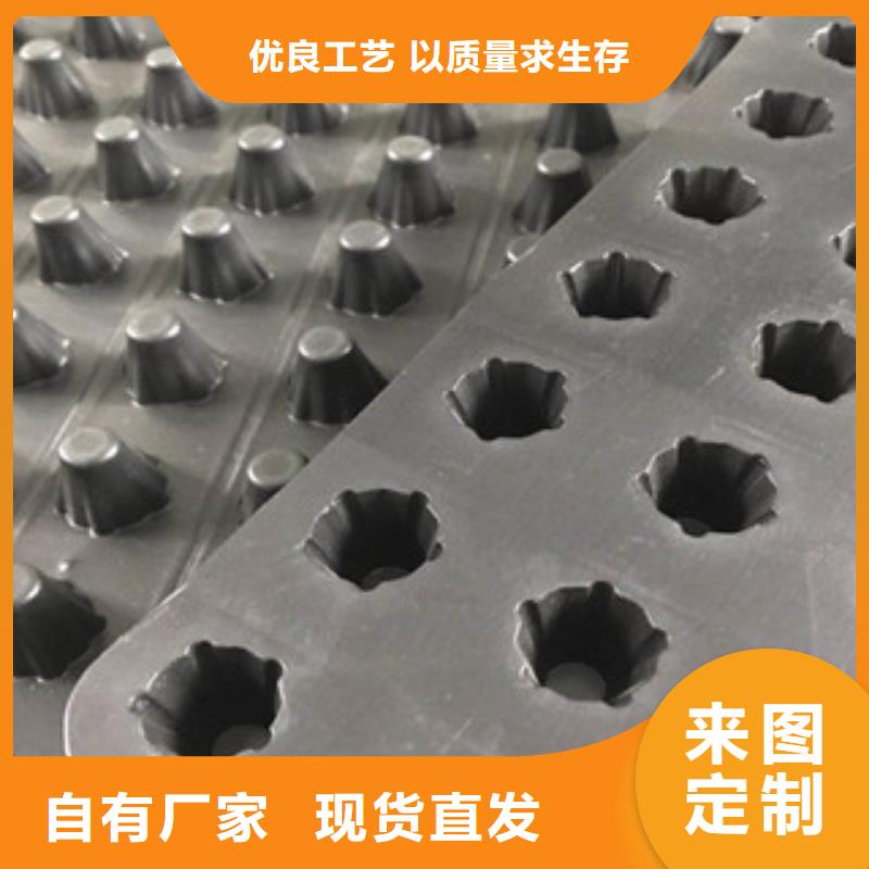 塑料排水板植草格厂家严选用料