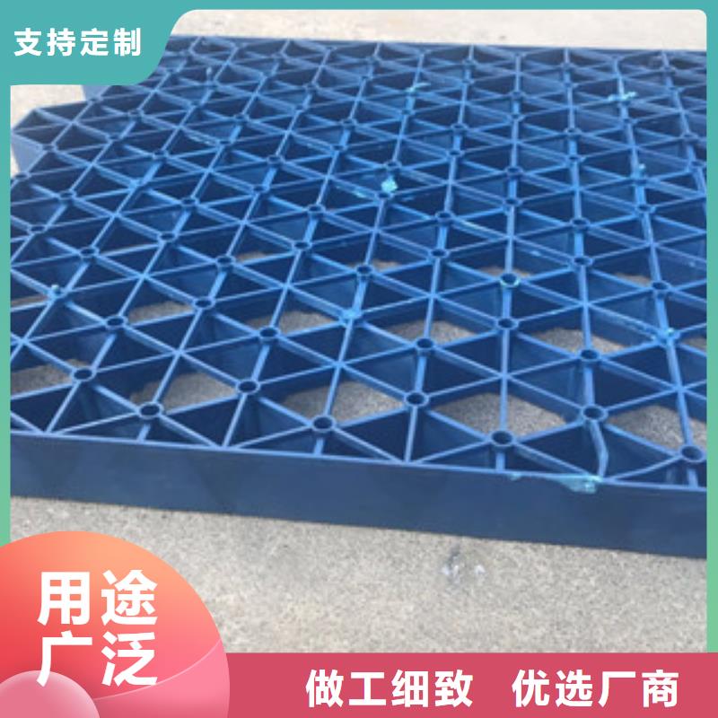 植草格_土工布厂家多种规格供您选择