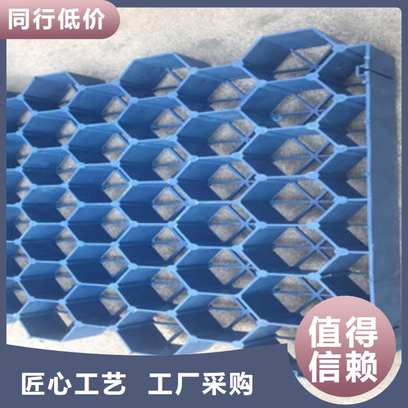 植草格_【排水板厂家】精选好货_富泰土工材料(揭阳市分公司)