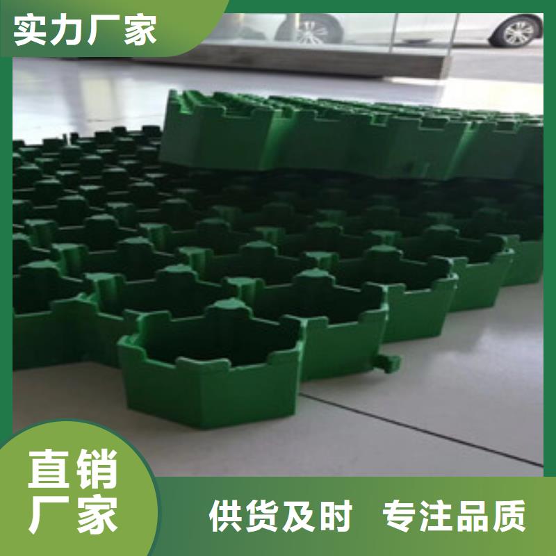 热销产品 植草格_【排水板厂家】精选好货