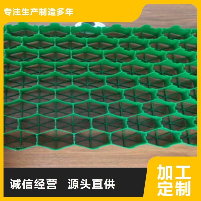 植草格_【排水板厂家】精选好货_富泰土工材料(揭阳市分公司)