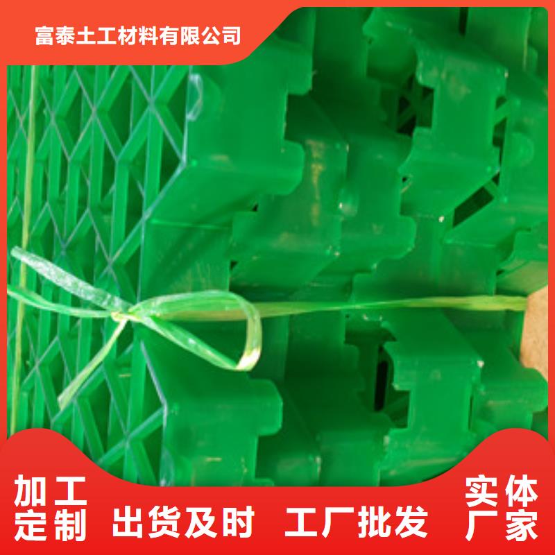 富泰【 植草格生态袋厂家品质卓越】阿奇乐乐