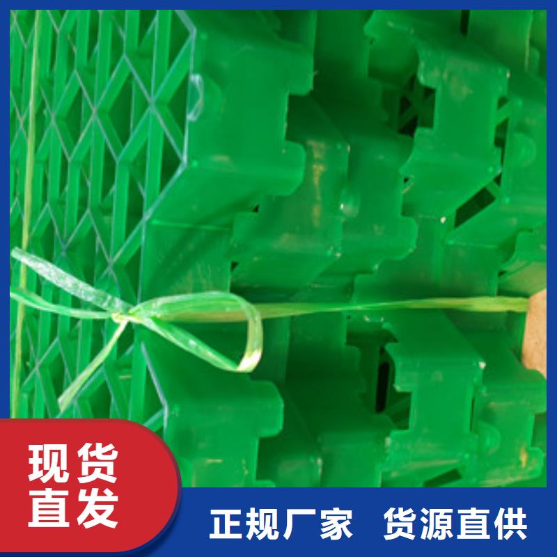【 植草格,土工布厂家订购】同城品牌