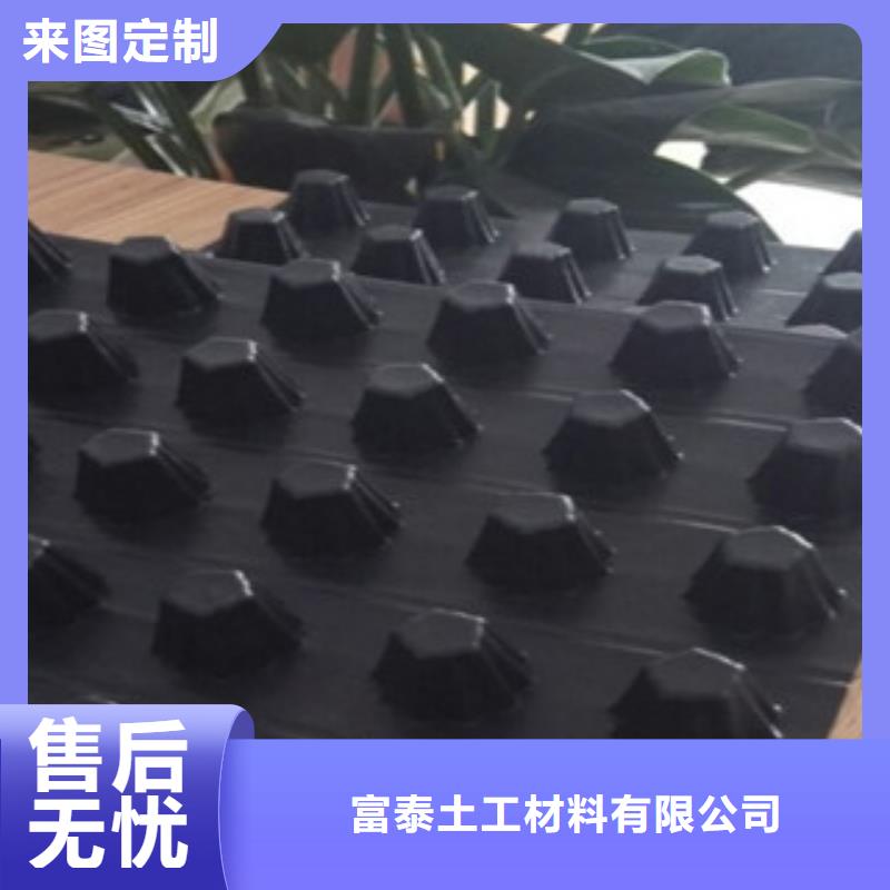 源头厂家直销排水板【植草格厂家】细节决定品质