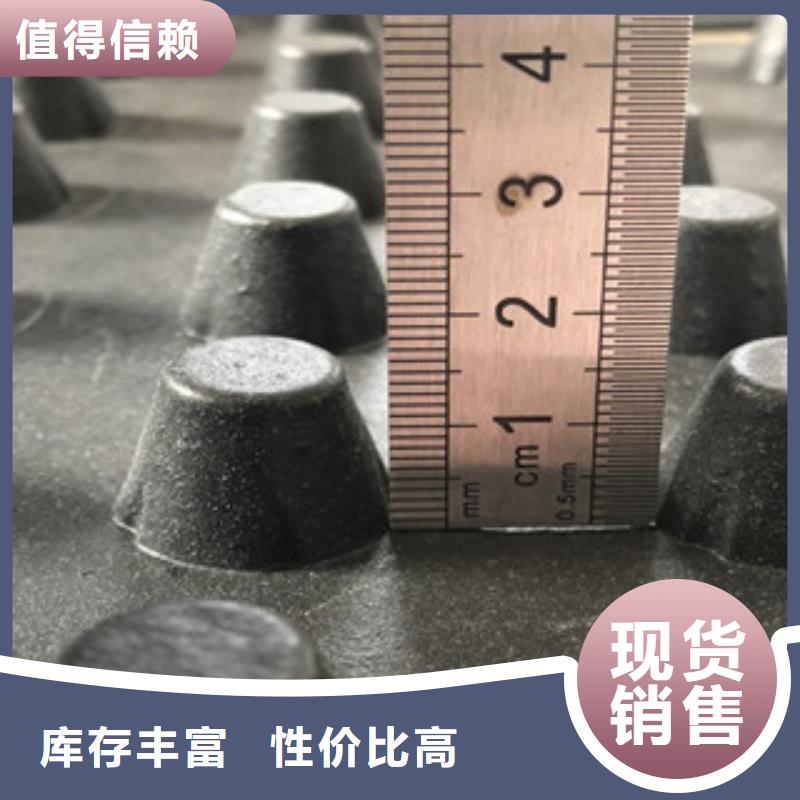 源头厂家直销排水板【植草格厂家】细节决定品质