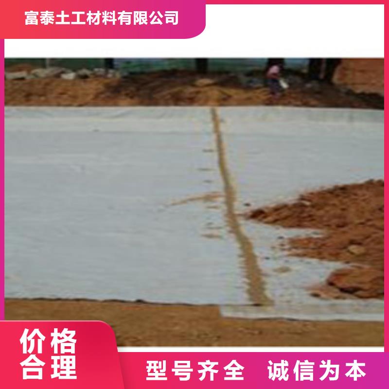 防水毯-土工膜厂家源头工厂量大优惠