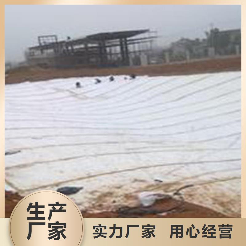 防水毯无纺布厂家交货准时
