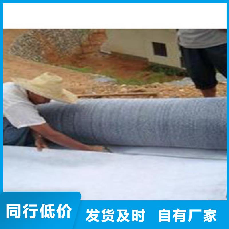 防水毯_【植草格厂家】质量优价格低本地厂家