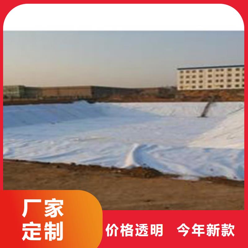 防水毯【蓄排水板厂家】实力雄厚品质保障