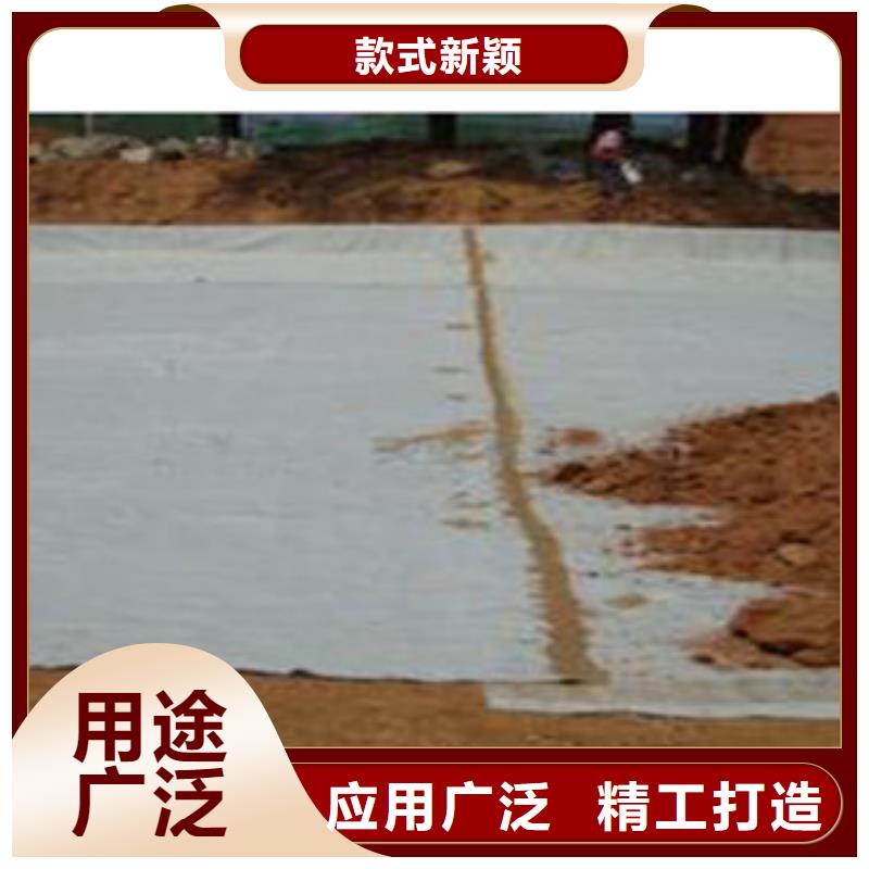 防水毯_【植草格厂家】质量优价格低 富泰土工材料(平顶山市分公司)