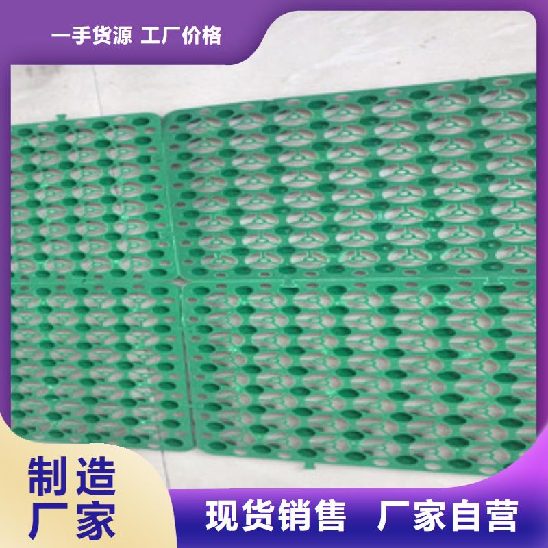 蓄排水板-土工膜厂家技术先进