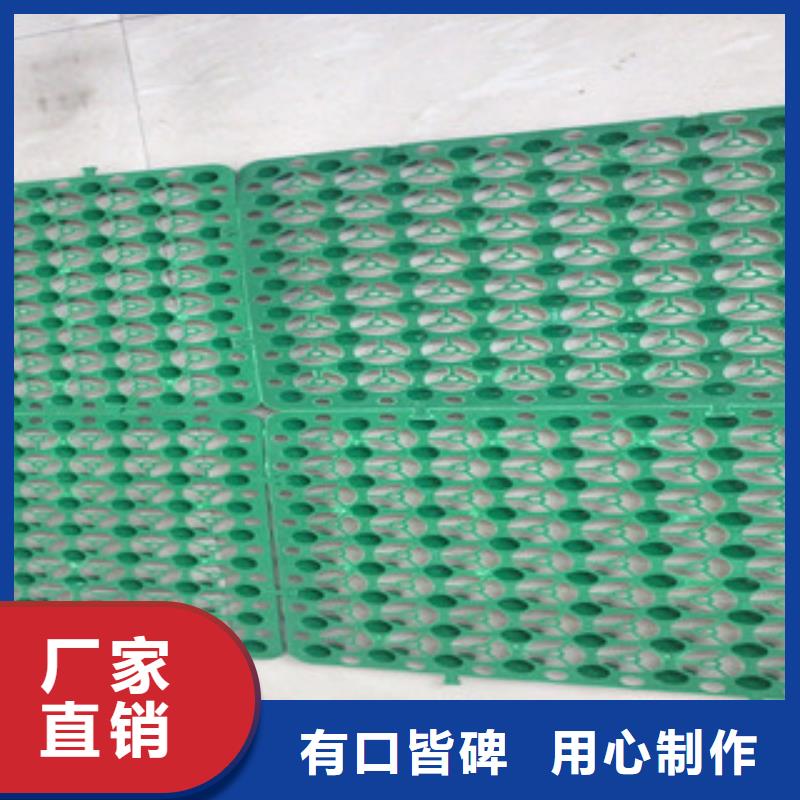 蓄排水板生态袋厂家厂家实力雄厚
