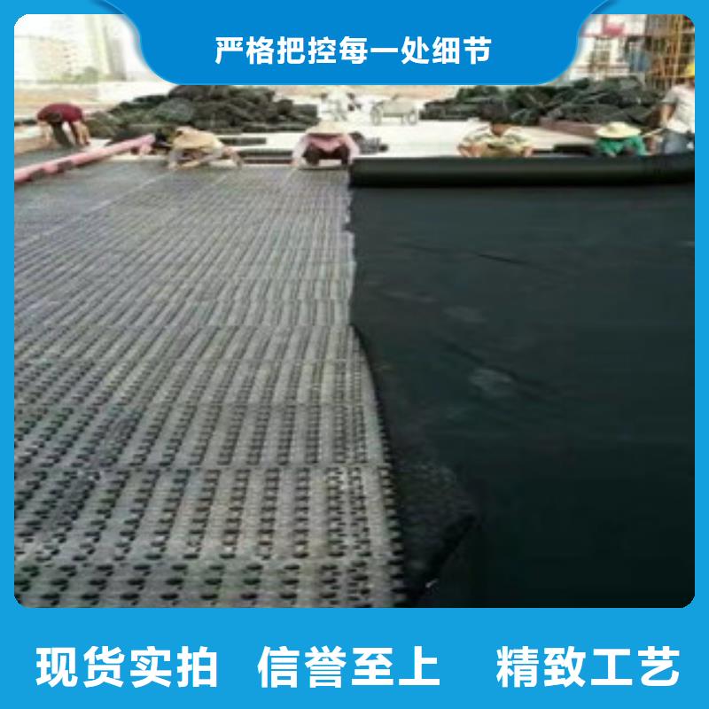蓄排水板_蓄排水板厂家现货销售