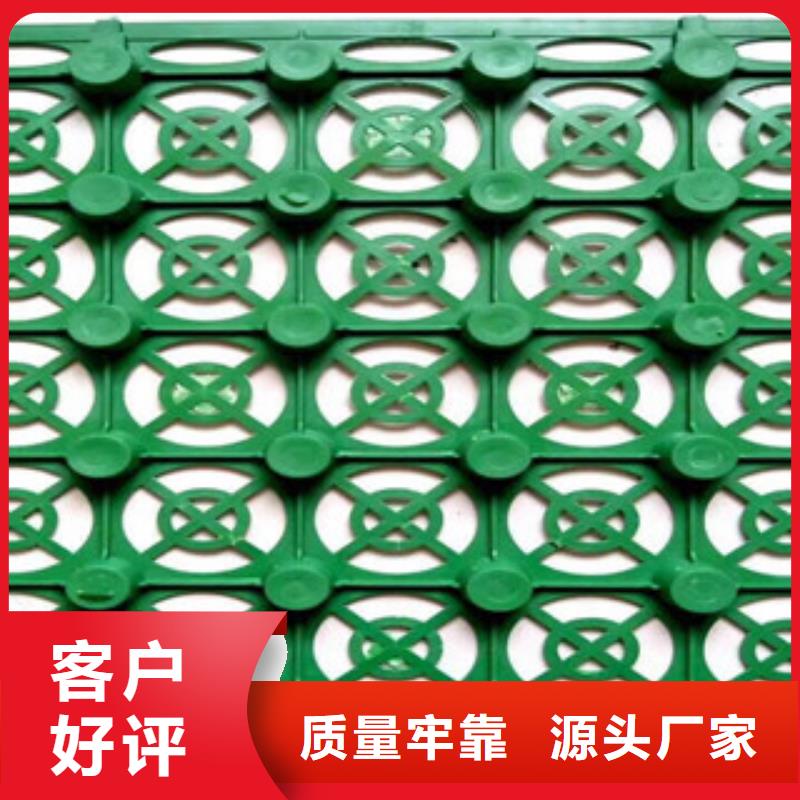 蓄排水板土工布厂家工厂价格