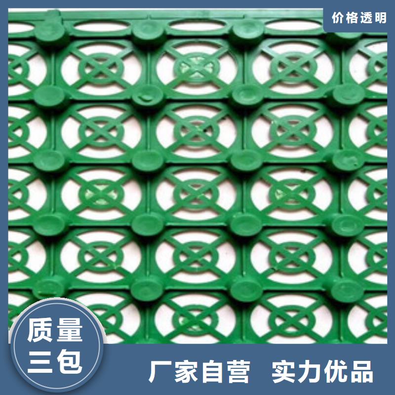 蓄排水板【植草格厂家】实体诚信经营