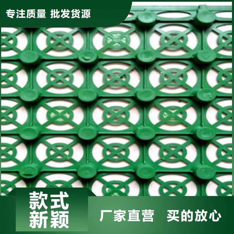 蓄排水板植草格厂家工厂直营
