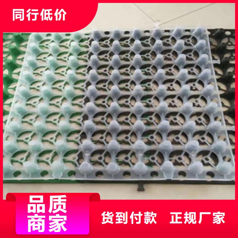 蓄排水板-土工膜厂家技术先进