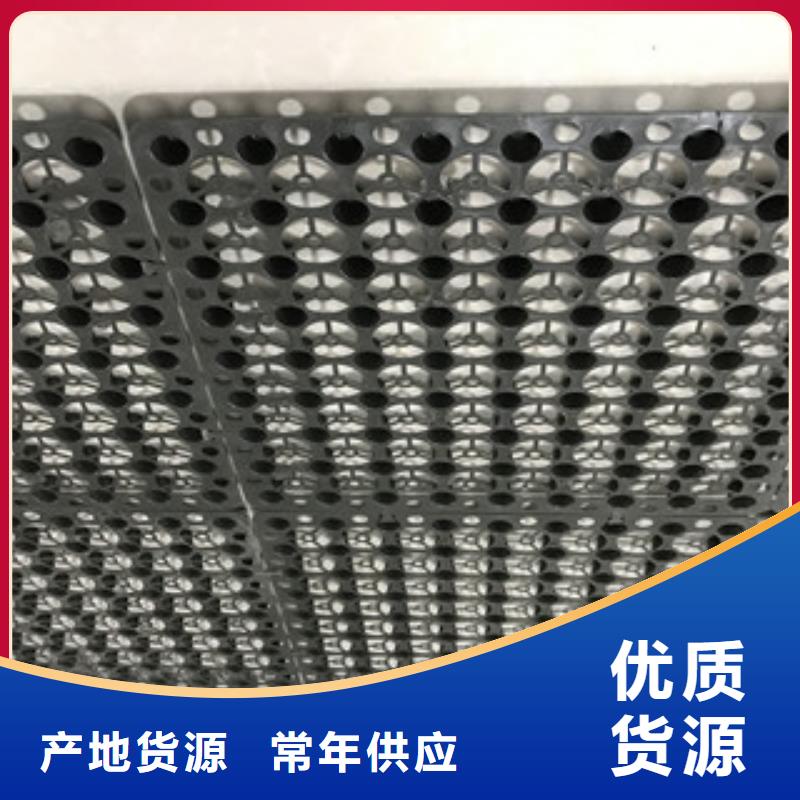 蓄排水板植草格厂家严谨工艺